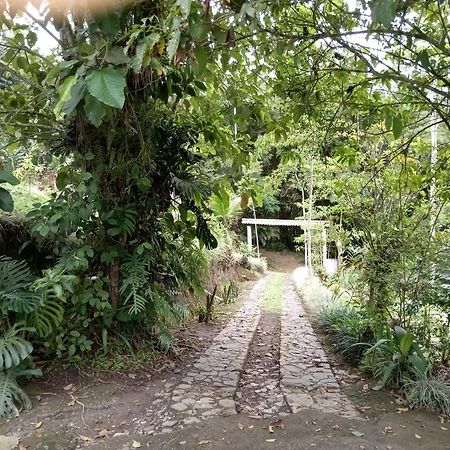 Hotel Green Mountain Turrialba Eksteriør bilde