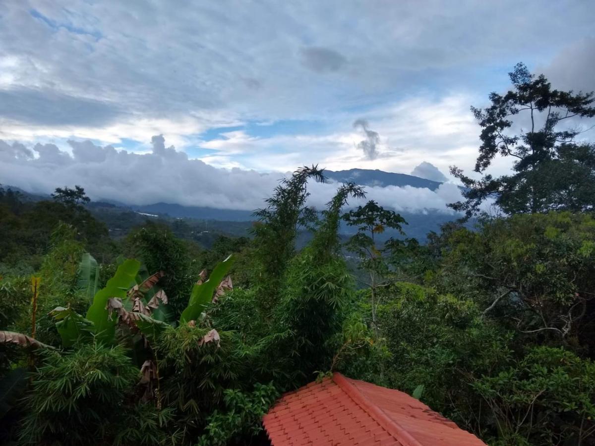 Hotel Green Mountain Turrialba Eksteriør bilde