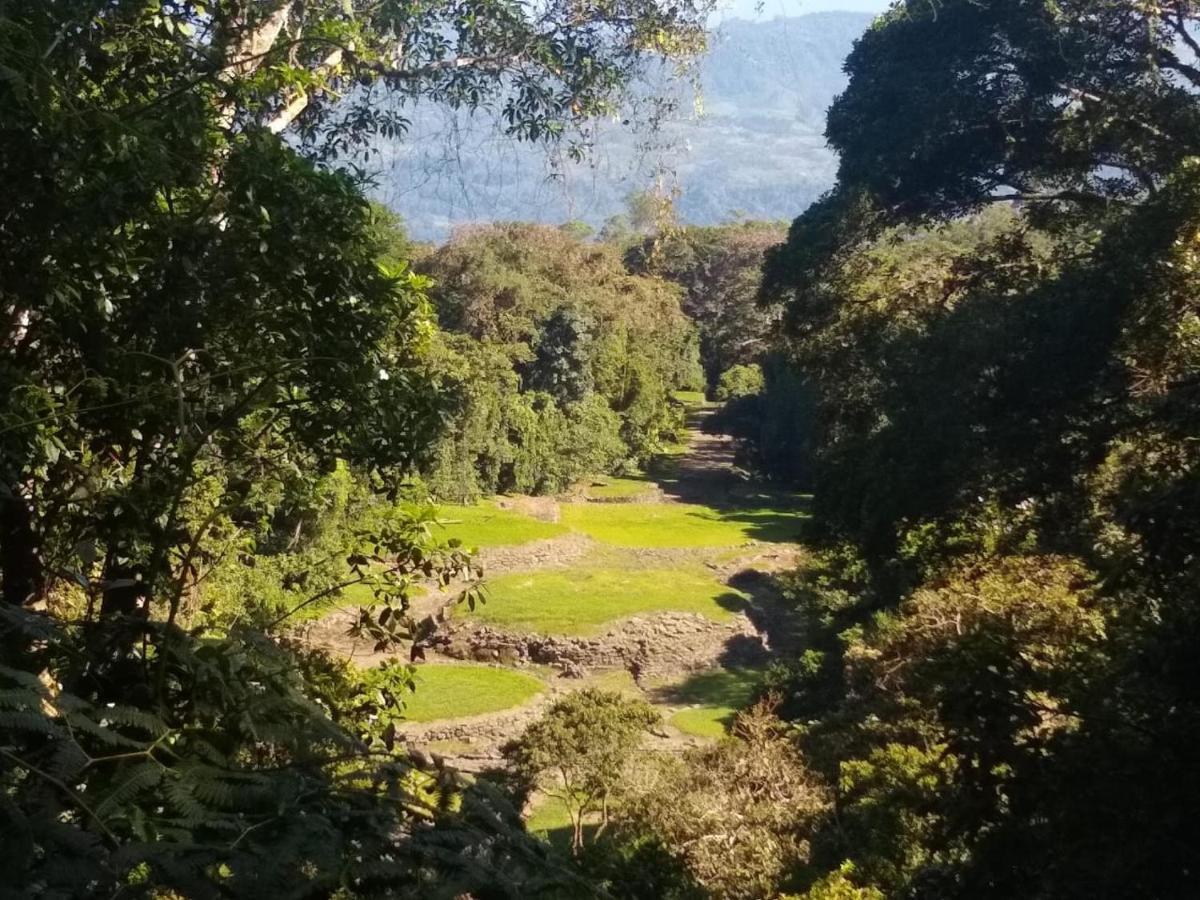 Hotel Green Mountain Turrialba Eksteriør bilde