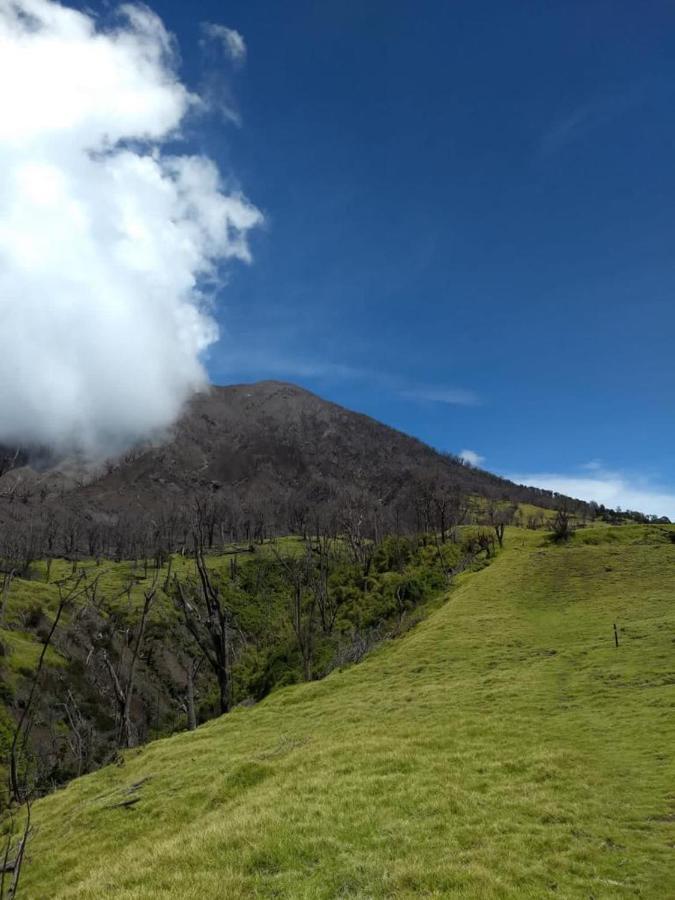Hotel Green Mountain Turrialba Eksteriør bilde