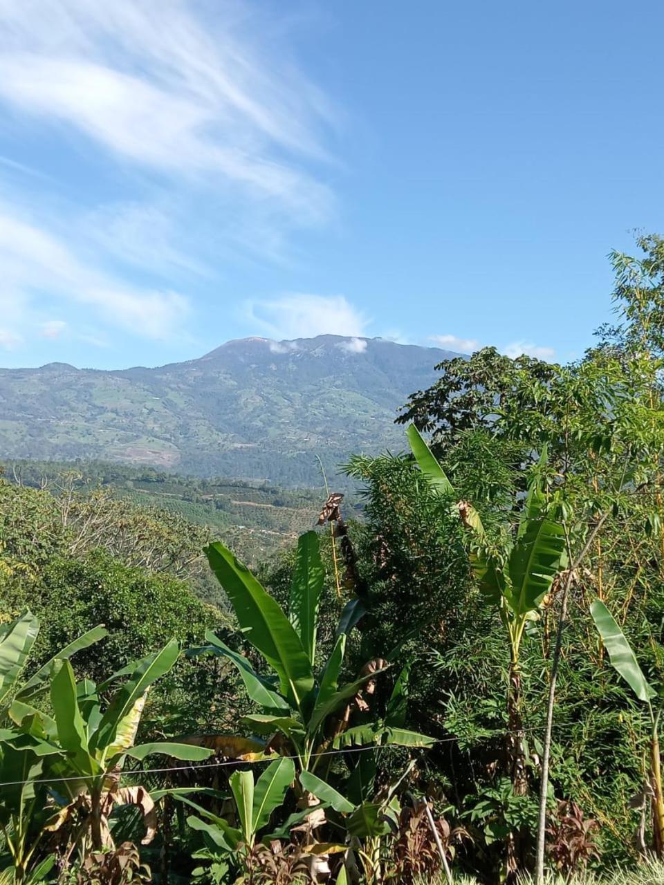 Hotel Green Mountain Turrialba Eksteriør bilde