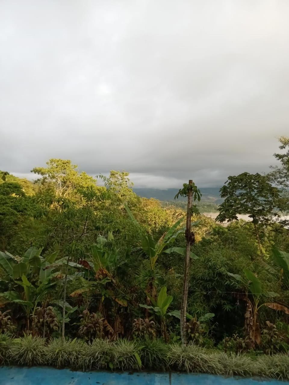 Hotel Green Mountain Turrialba Eksteriør bilde