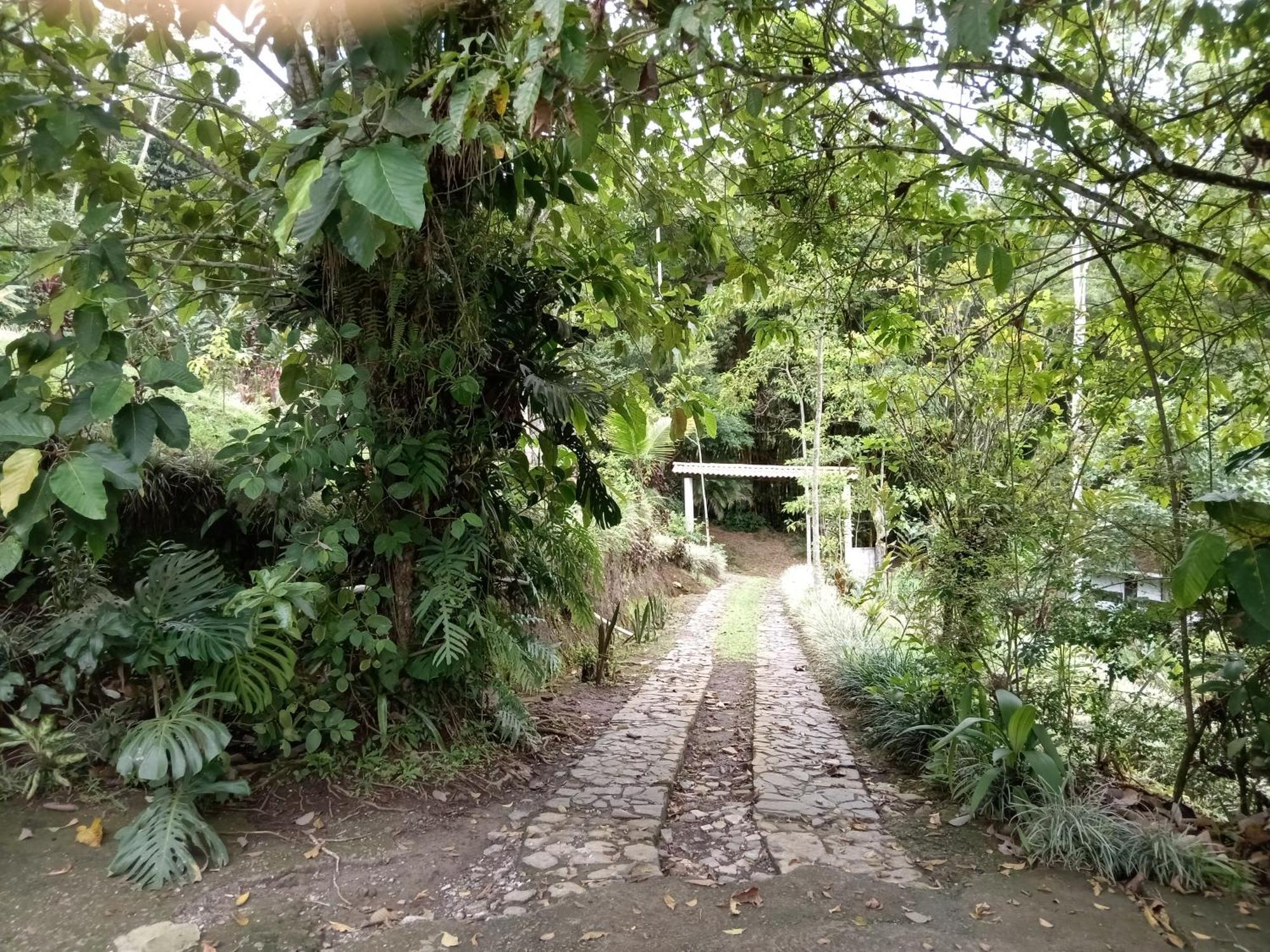 Hotel Green Mountain Turrialba Eksteriør bilde