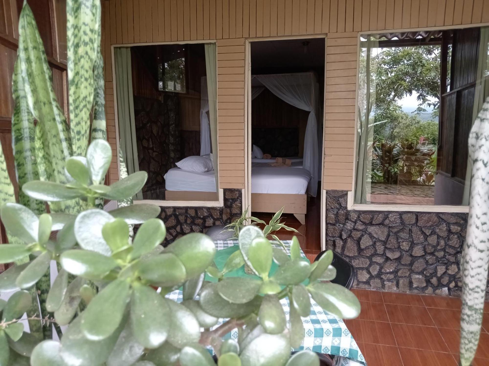 Hotel Green Mountain Turrialba Eksteriør bilde
