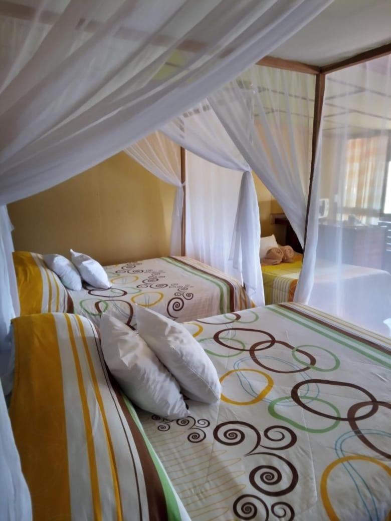 Hotel Green Mountain Turrialba Eksteriør bilde