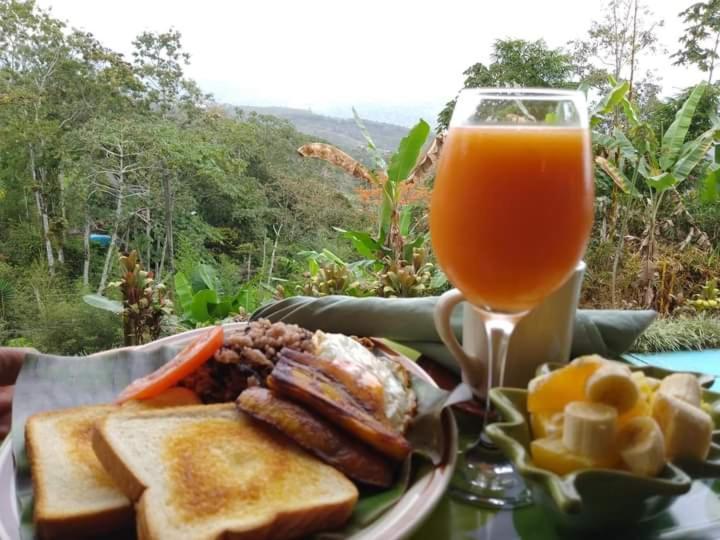Hotel Green Mountain Turrialba Eksteriør bilde