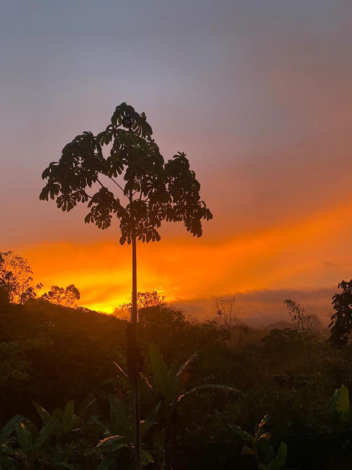 Hotel Green Mountain Turrialba Eksteriør bilde
